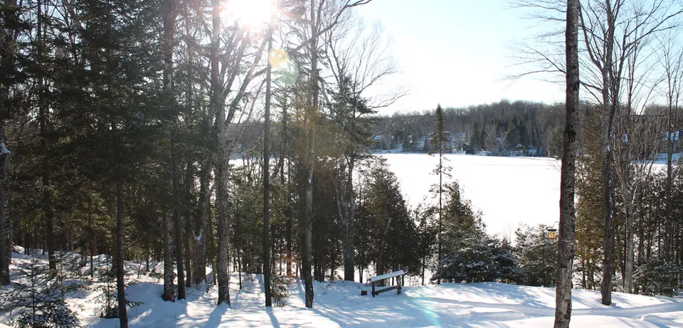 Domaine du Lac Marsan Chalet — exterior