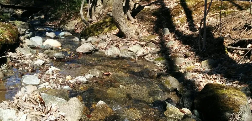 Chalet Le Mont Sutton — exterior